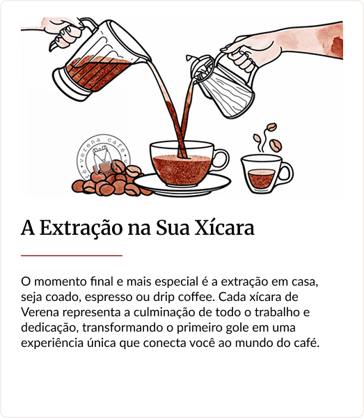 A Extração na Sua Xícara