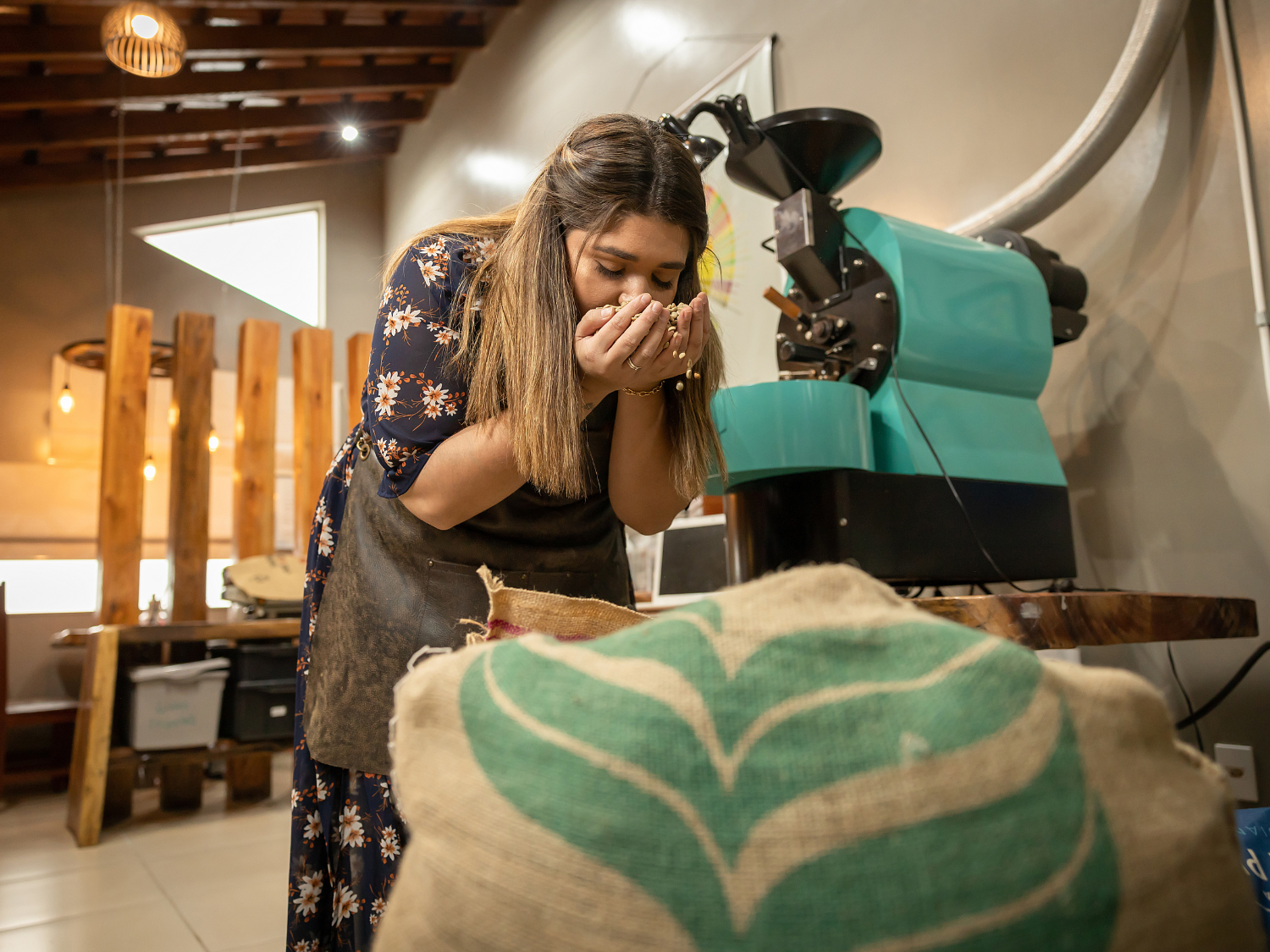 Foto de lavoura de café com grãos maduros e cientista observando plantas, representando o impacto da pesquisa genética no café brasileiro.