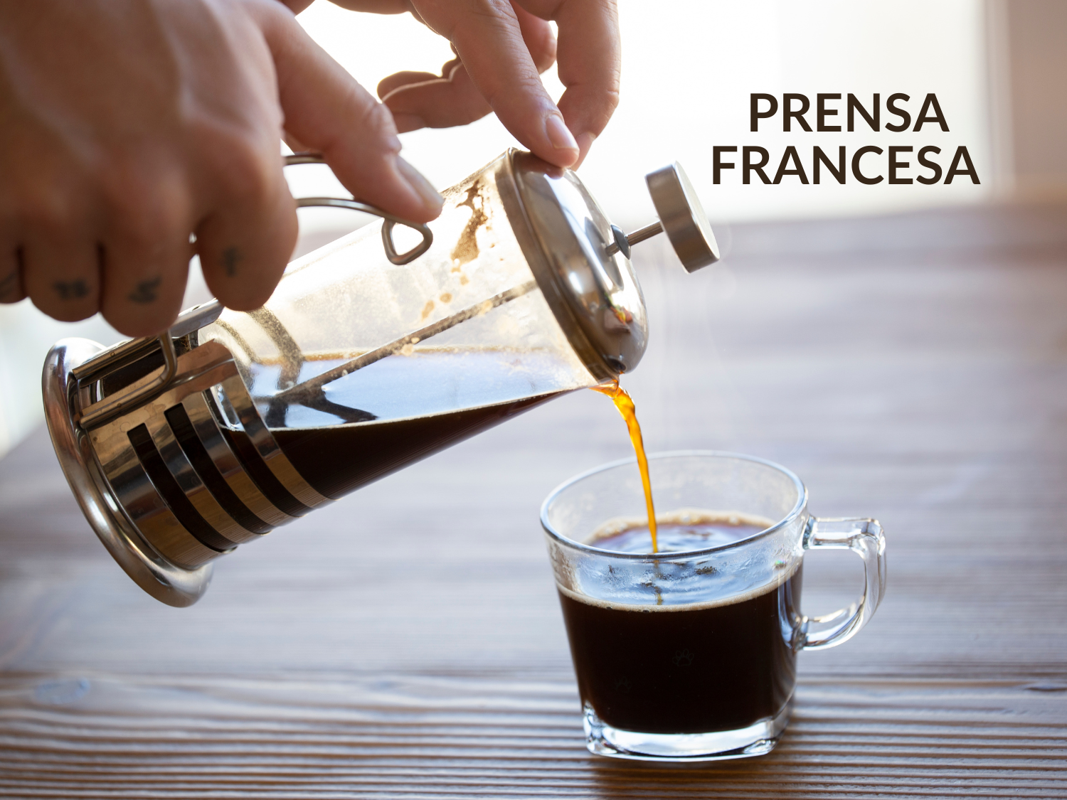 Café Perfeito na Prensa Francesa: Guia Completo com Dicas Profissionais 💛