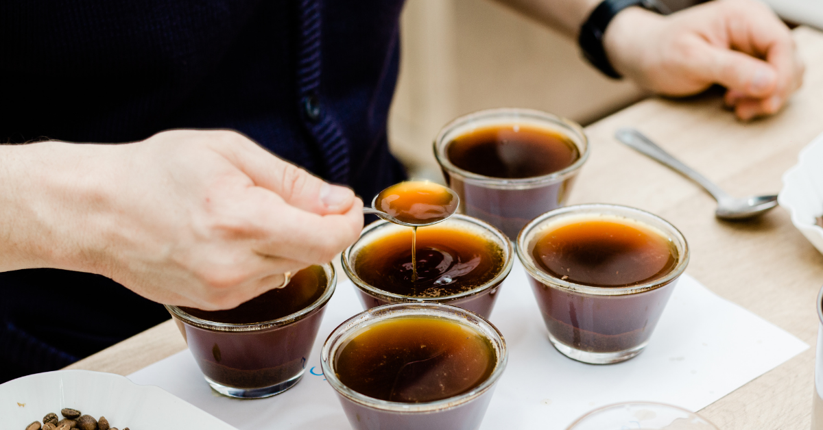 foto mostrando como é feita a prova do cafe, provador provando cafe com colher de cupping 
